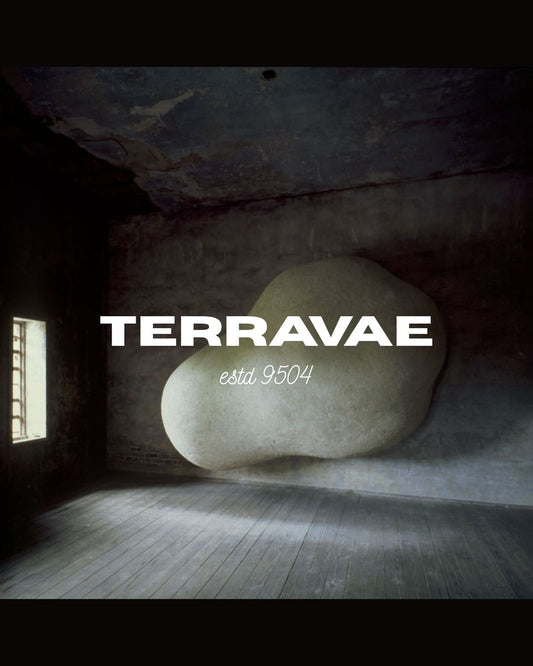 What Does Terravae Stand For?